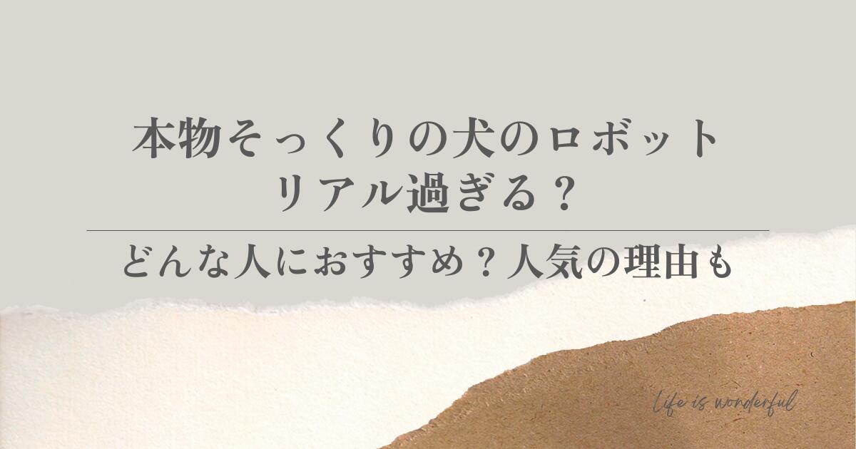 どんな人におすすめ？人気の理由も